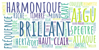 Nuage de mots pour Brillant